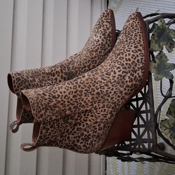 Dolce Vita Leopard Print Booties - Picture 1 of 11